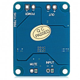 60W High-power Single-channel Digital Amplifier Board